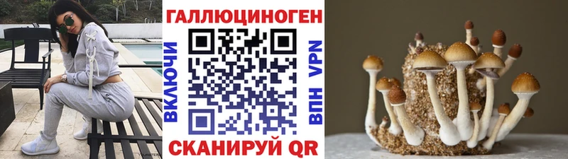 Псилоцибиновые грибы Magic Shrooms Красный Кут